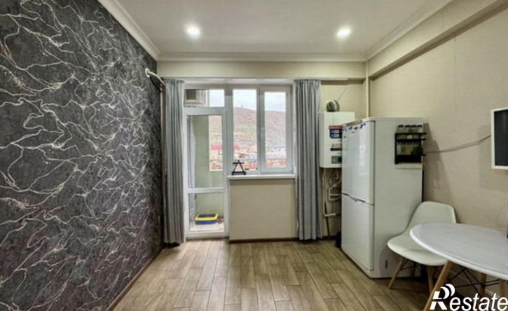 1-комн квартира улица Сальмана, 102,  д. 102