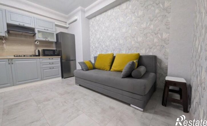 1-комн квартира ул Гейдара Алиева, 10в,  д. 10в