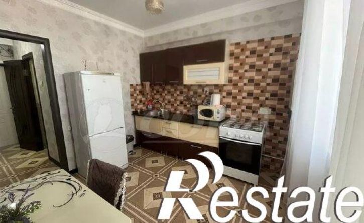 1-комн квартира улица Сальмана, 102,  д. 102