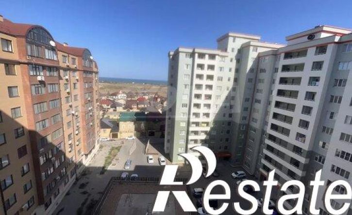 1-комн квартира улица Сальмана, 102,  д. 102