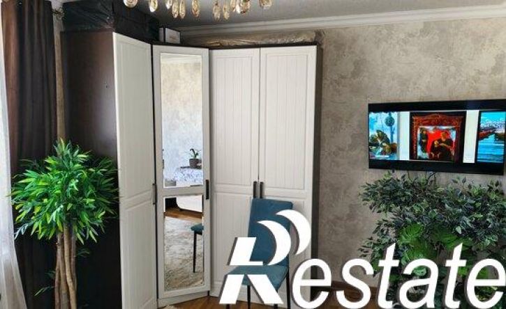 1-комн квартира Красноармейский переулок, 56А,  д. 56А