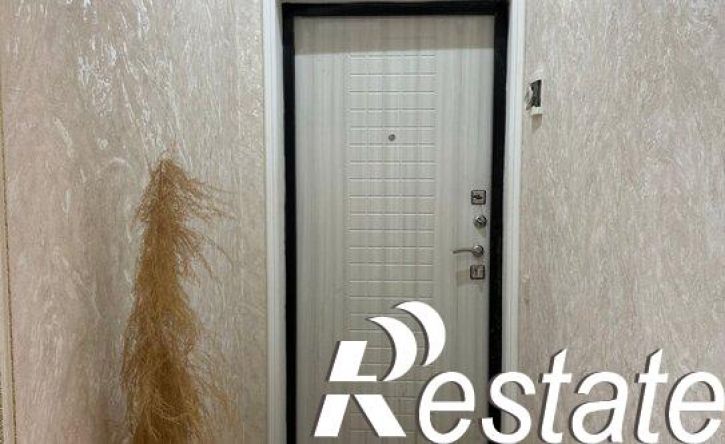 1-комн квартира улица Сальмана, 85В,  д. 85В
