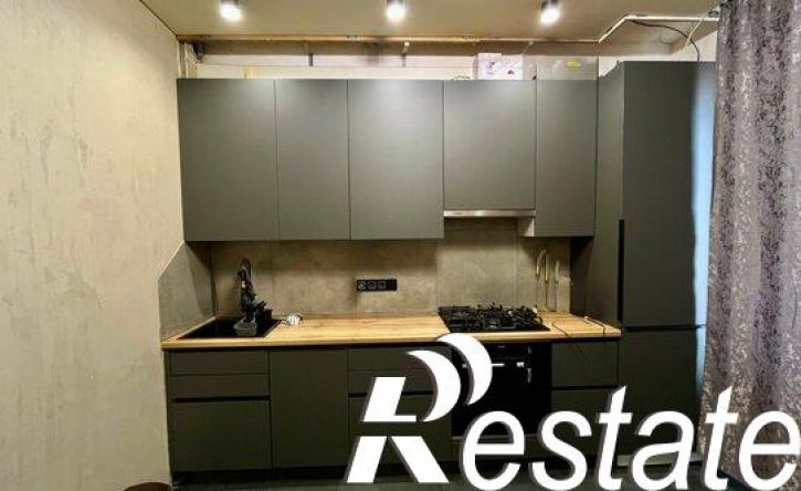 2-комн квартира улица Сальмана, 50Е,  д. 50Е