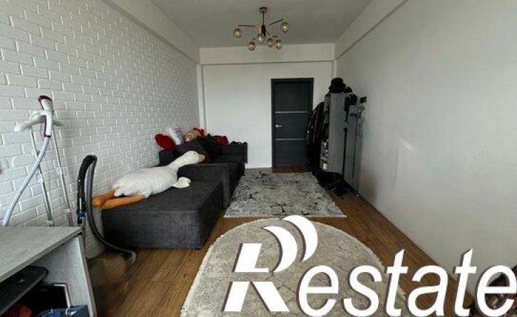 2-комн квартира улица Сальмана, 50Е,  д. 50Е