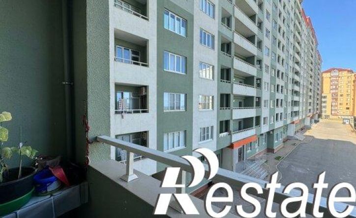 2-комн квартира улица Сальмана, 102,  д. 102